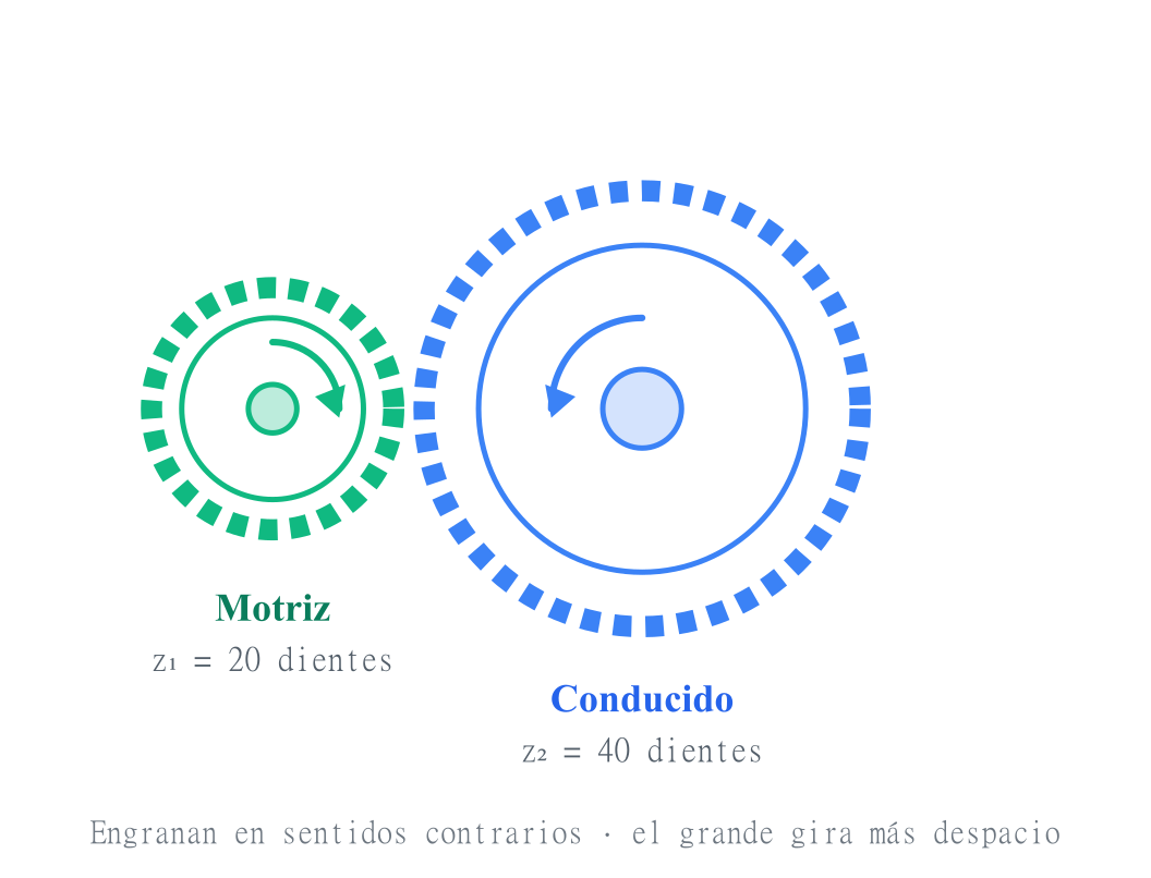 Engranaje motriz pequeño de 20 dientes engranado con un conducido grande de 40 dientes; giran en sentidos contrarios y el grande gira más despacio