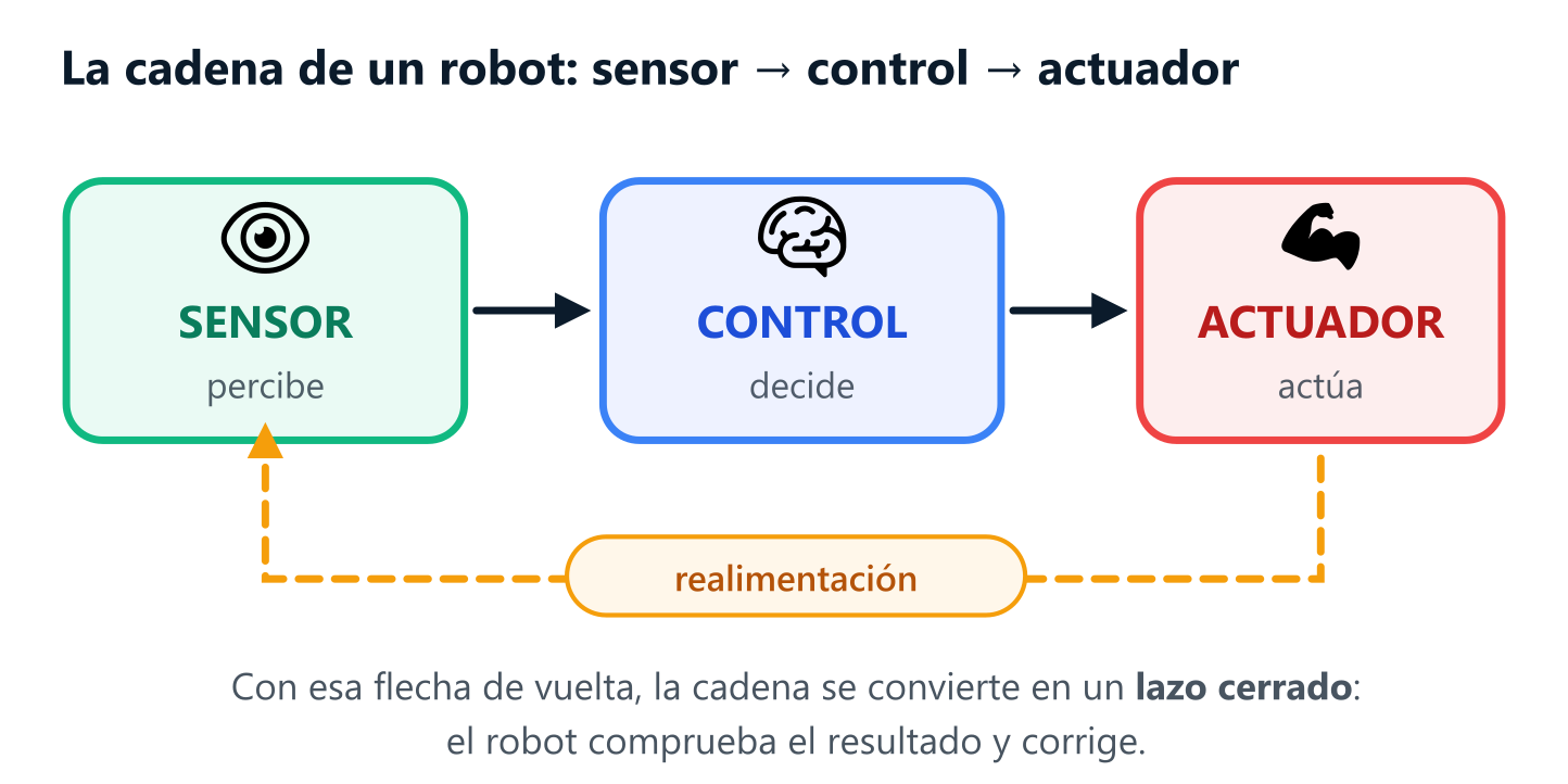 Cadena de un robot: el sensor percibe, el control decide y el actuador actúa, con una flecha de realimentación que vuelve del actuador al sensor