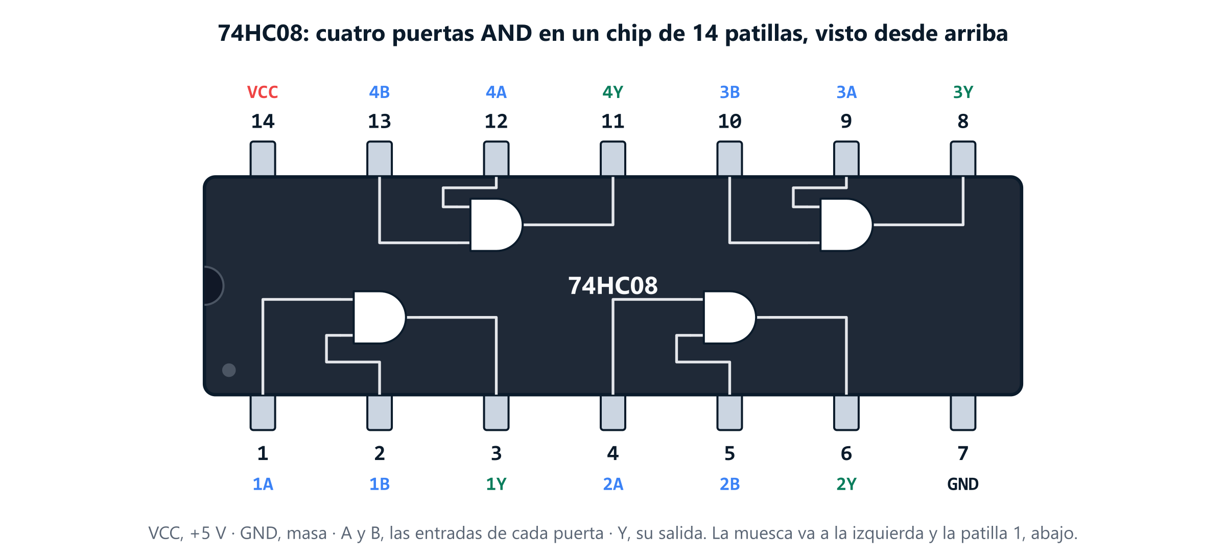 El chip 74HC08 visto desde arriba, con la muesca a la izquierda: la patilla 14 es VCC, la 7 es GND, y dentro hay cuatro puertas AND con sus entradas A y B y su salida Y unidas a las patillas 1, 2 y 3, 4, 5 y 6, 9, 10 y 8, y 12, 13 y 11